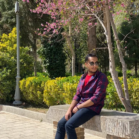 Reza Noori, online English tutor