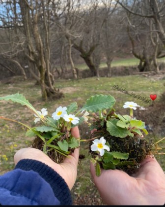 Spring in the city