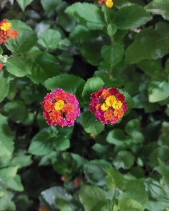 Spring in sight