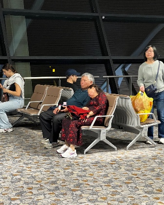 Airport Catches 