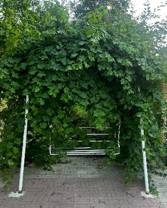 Swing 