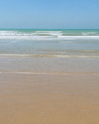 Beach day