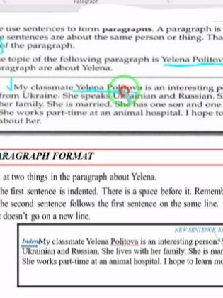 Teaching paragraph writing