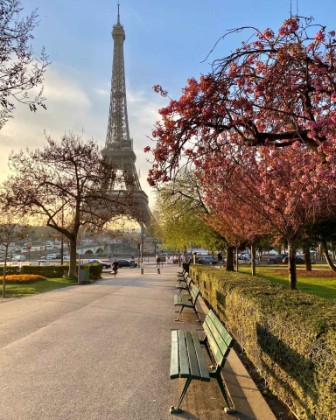 Next trip