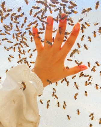 Me and the bees