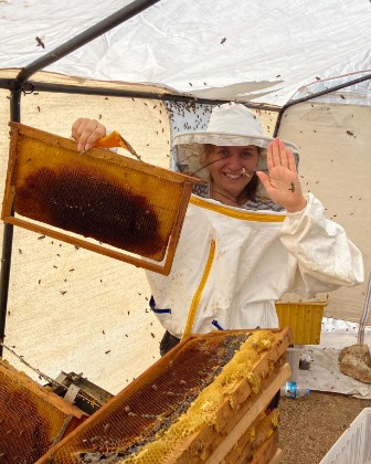 Honey harvesting