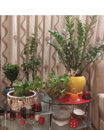 Green thumb