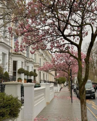Spring in the city