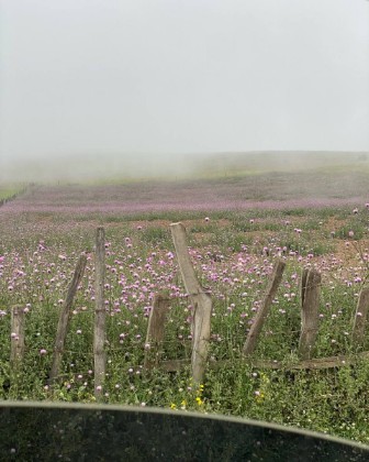 On the road