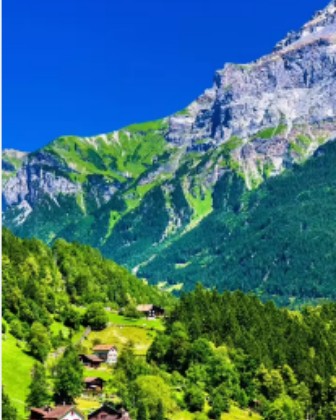beautiful nature