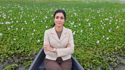 Anzali Lagoon
