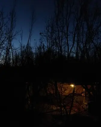 Nature Night 