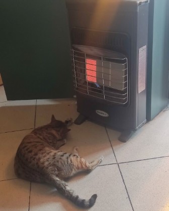 She is Cold