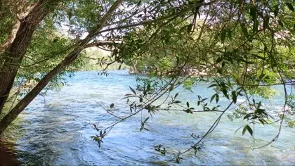 Nature 