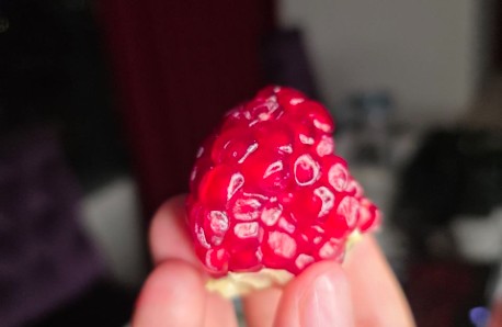 Favorite Fruit
