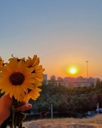 Golden hour