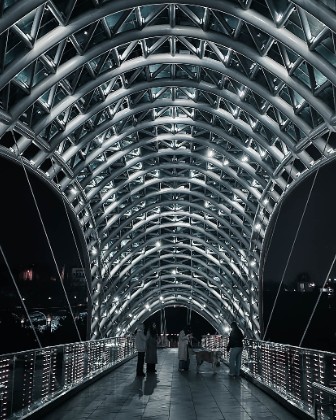 The Bridge