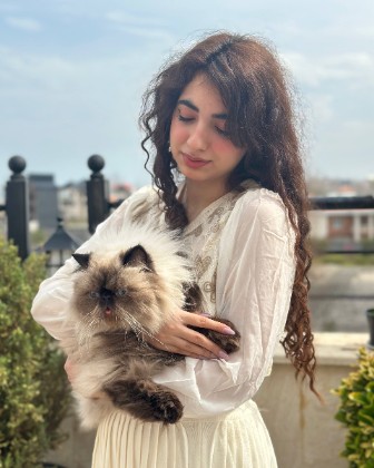 meow