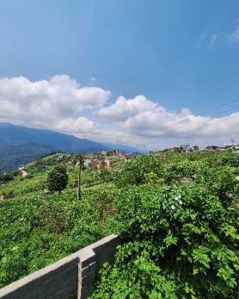 Next trip