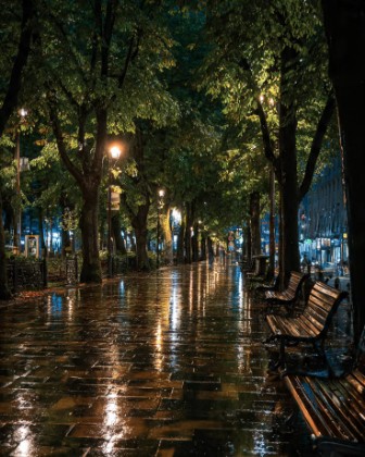 City evenings